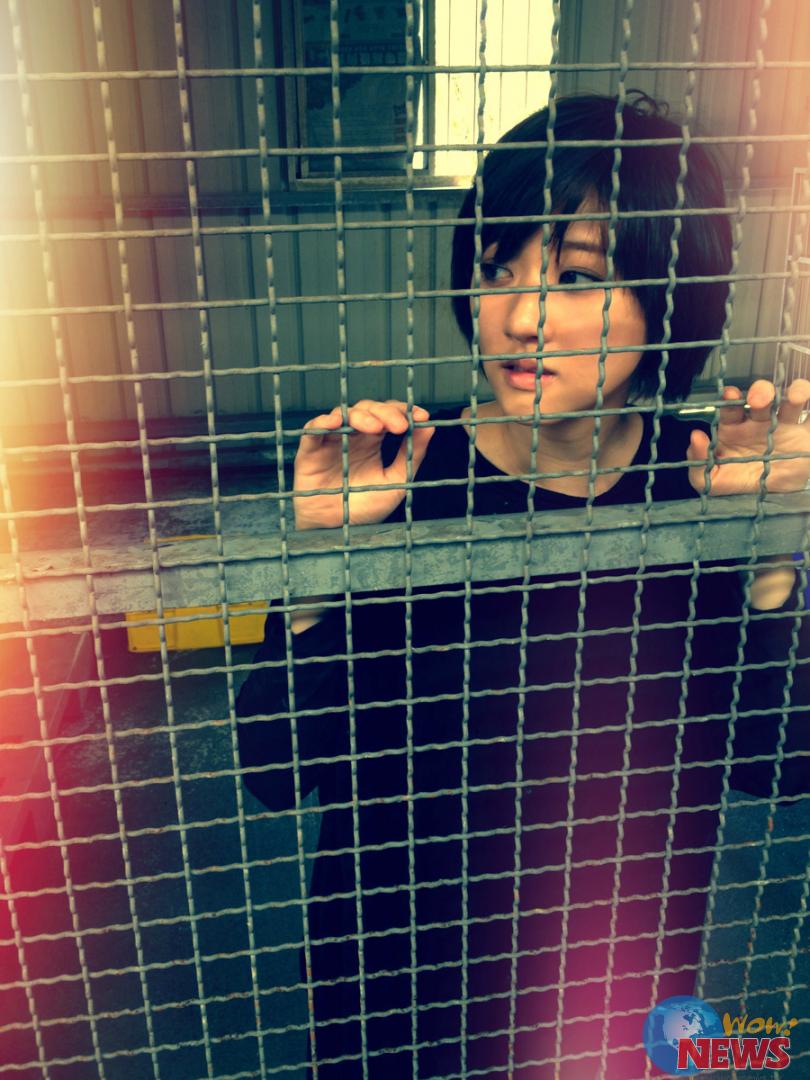 林逸欣写歌呼吁保护动物 自关狗笼拍短片 | Wo