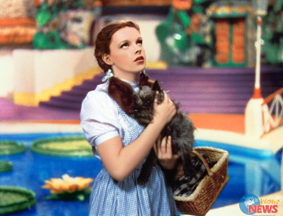 美国歌舞经典《绿野仙踪》3D版 连女神卡卡也