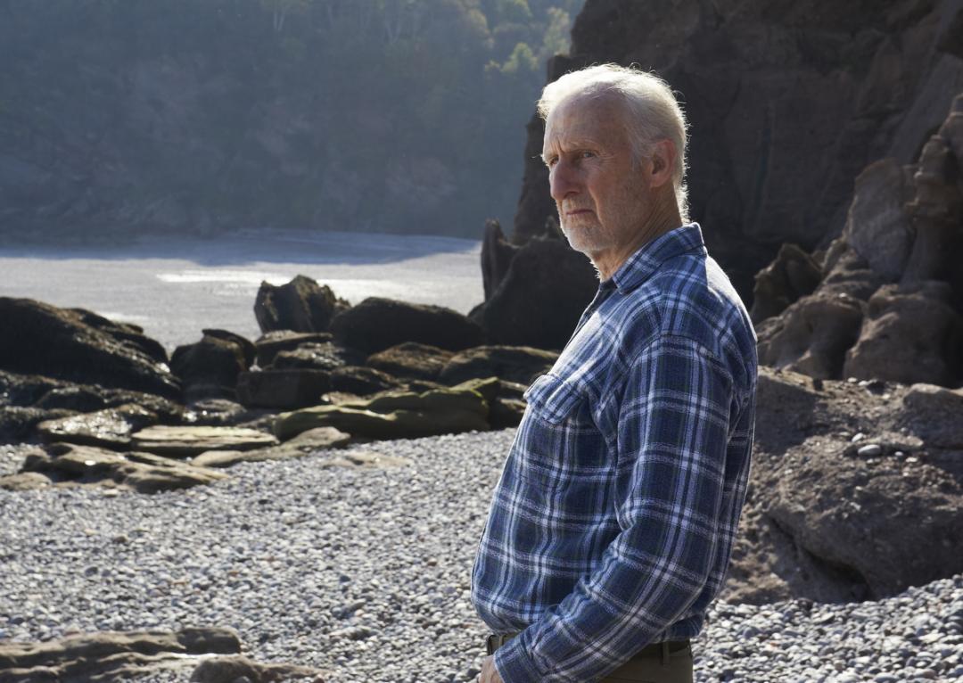 国际新闻事件登上大银幕 《爱,无尽》动容演绎