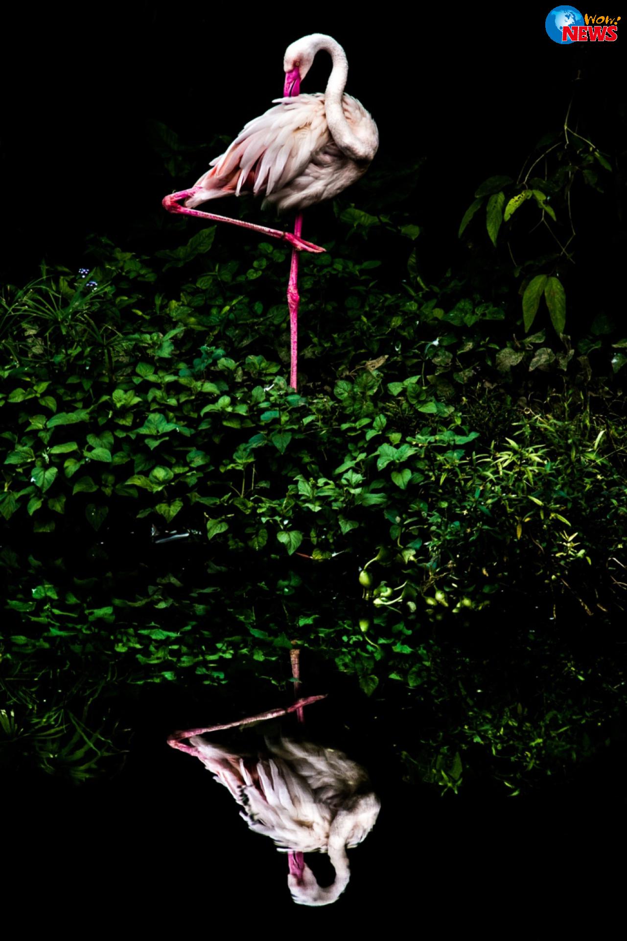 2016索尼世界摄影大奖 业余摄影师王泰然作品